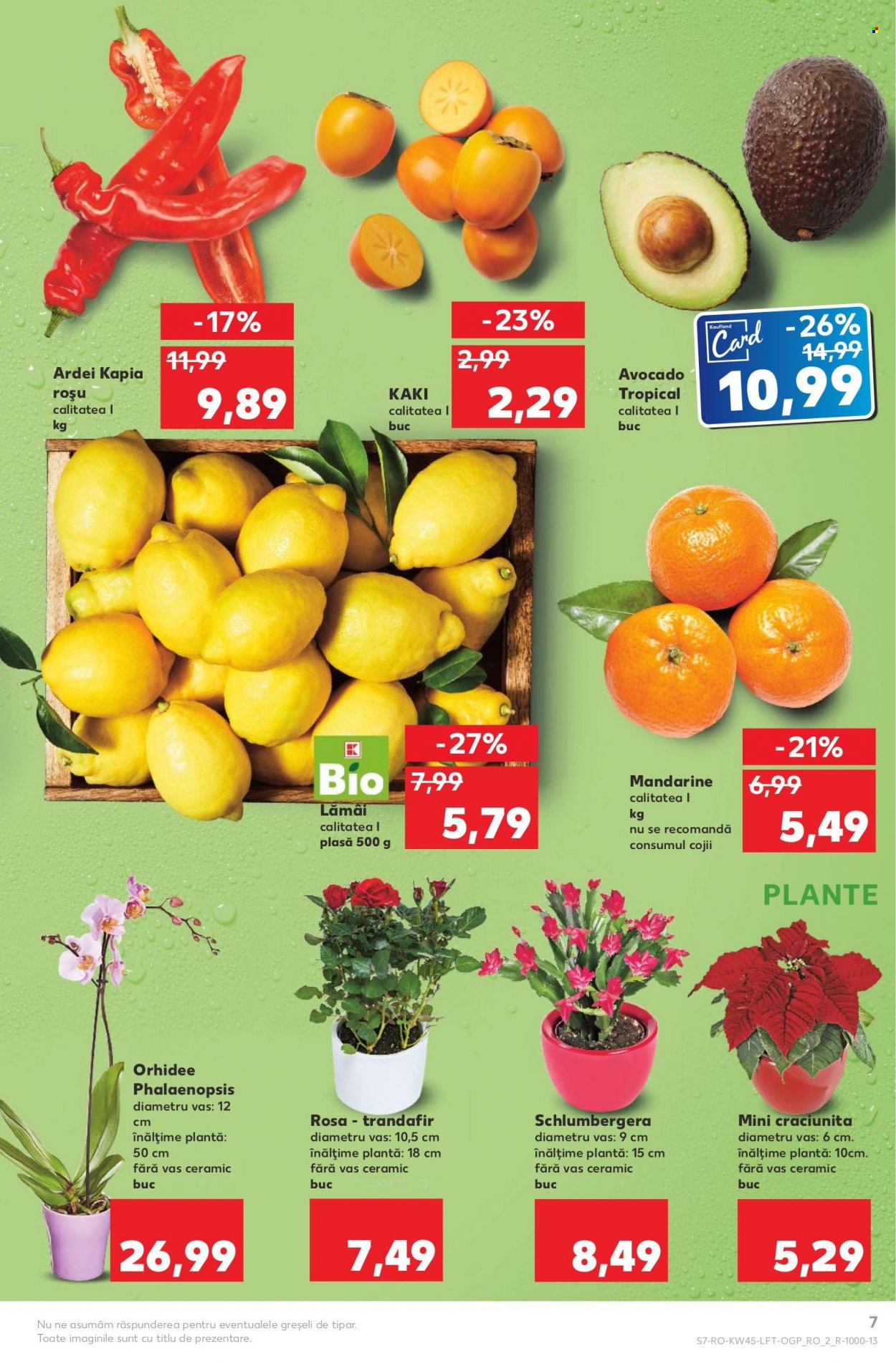 Catalog Kaufland - 09.11.2022 - 15.11.2022. Pagina 7