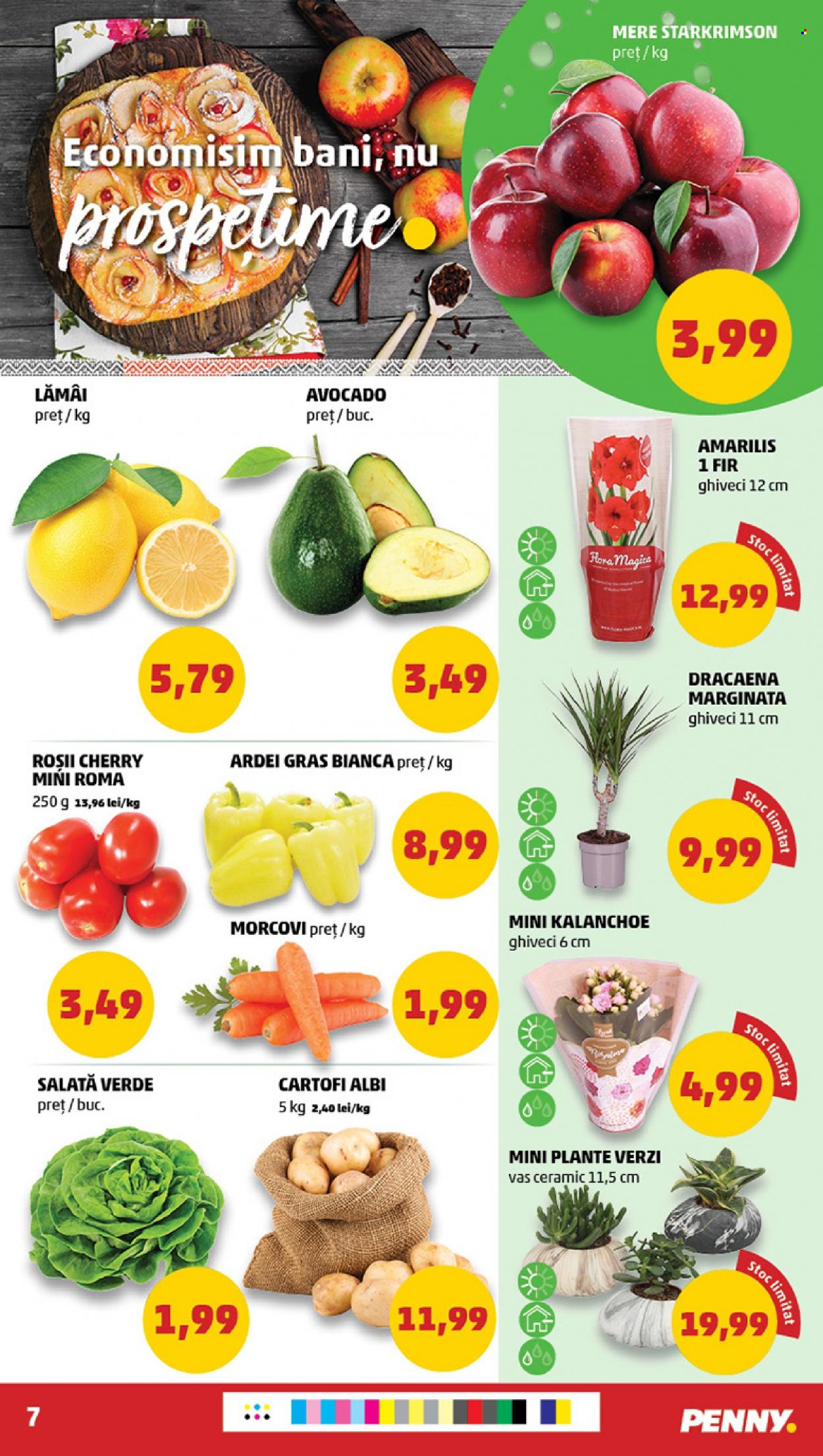 Catalog PENNY - 16.11.2022 - 22.11.2022. Pagina 7