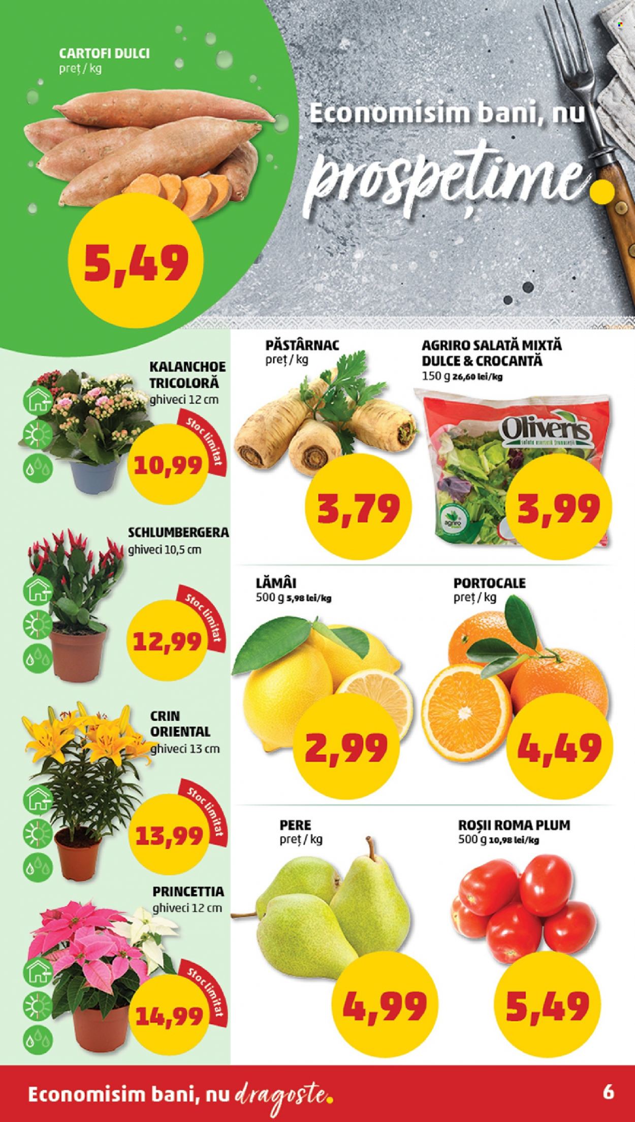 Catalog PENNY - 23.11.2022 - 29.11.2022. Pagina 6