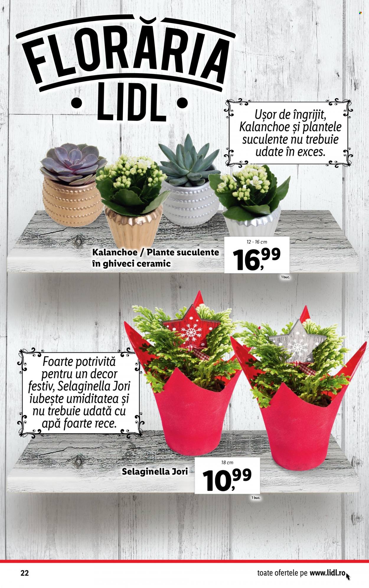 Catalog Lidl - 28.11.2022 - 04.12.2022. Pagina 22