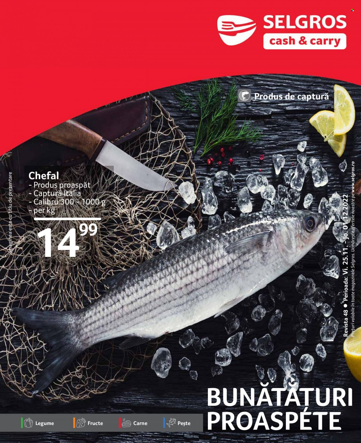 Catalog Selgros - 25.11.2022 - 01.12.2022. Pagina 1