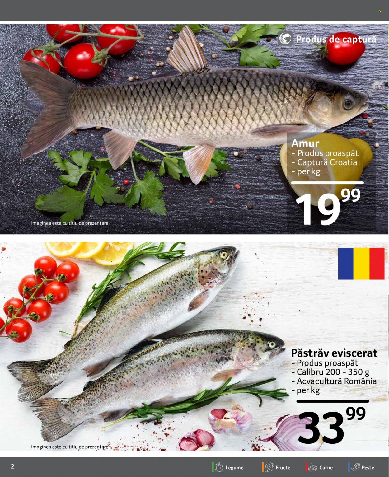 Catalog Selgros - 25.11.2022 - 01.12.2022. Pagina 2