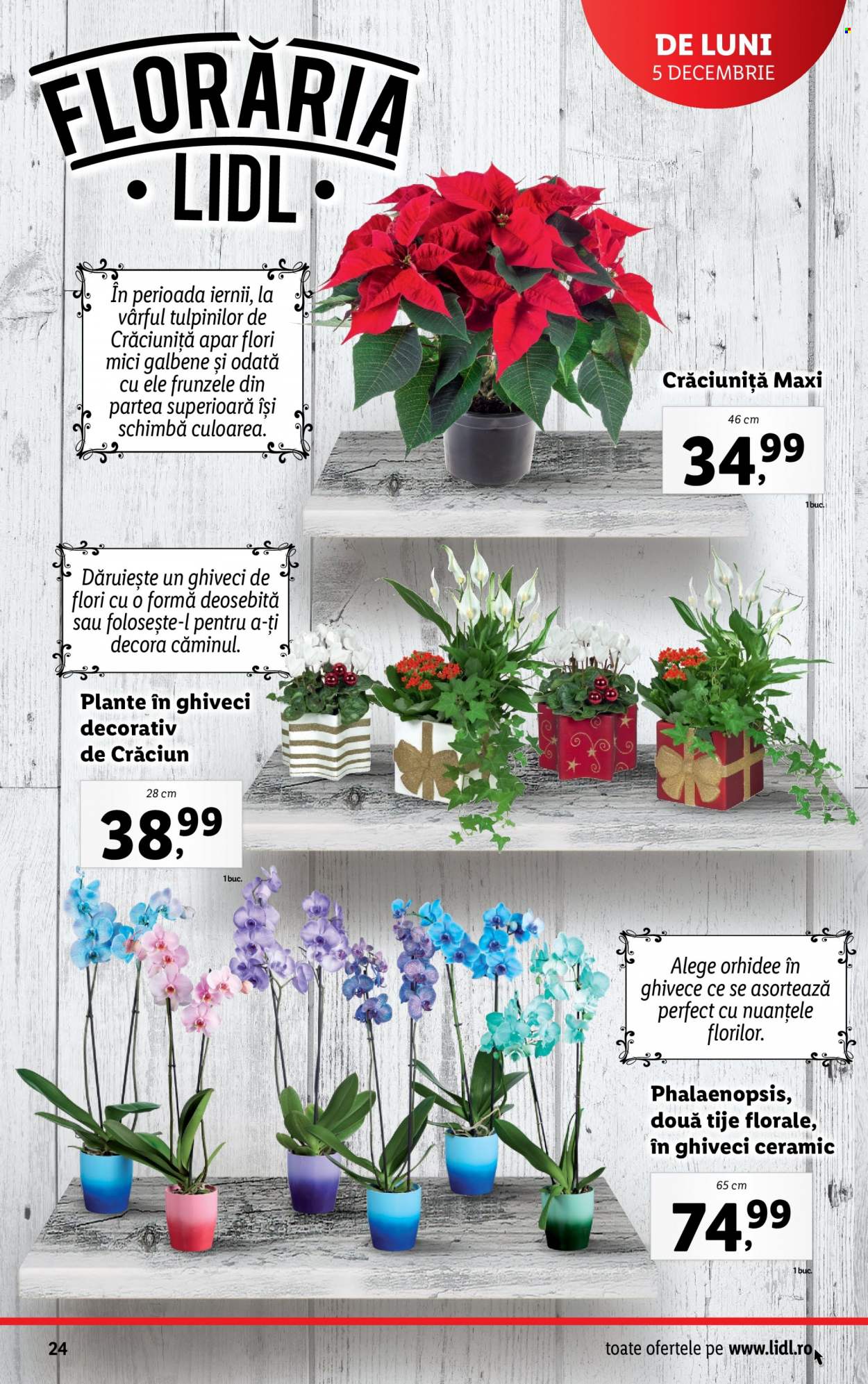 Catalog Lidl - 05.12.2022 - 11.12.2022. Pagina 24