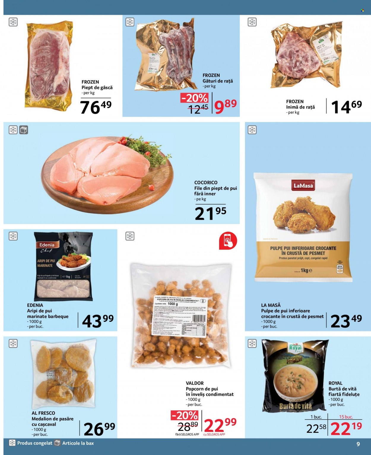 Catalog Selgros - 01.12.2022 - 31.12.2022. Pagina 9
