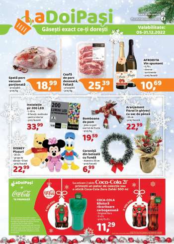 Catalog LaDoiPaşi