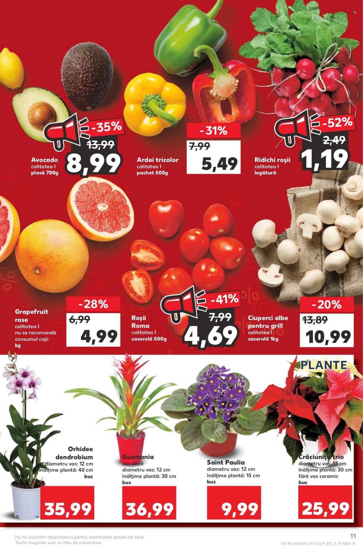 thumbnail - Cataloage Kaufland - 07.12.2022 - 13.12.2022 - Produse în vânzare - ciuperca, ardei, rosii cherry, ridichi roşi, roșie, avocado, plante. Pagina 11.