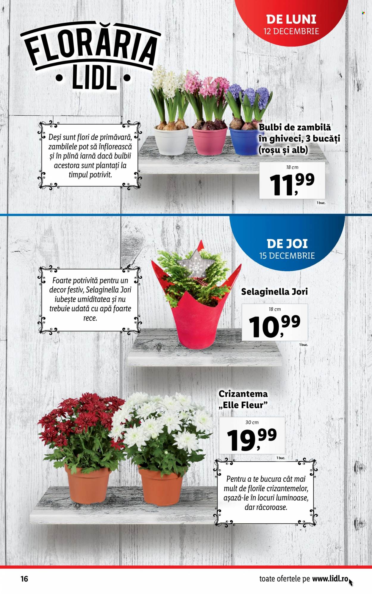 Catalog Lidl - 12.12.2022 - 18.12.2022. Pagina 16