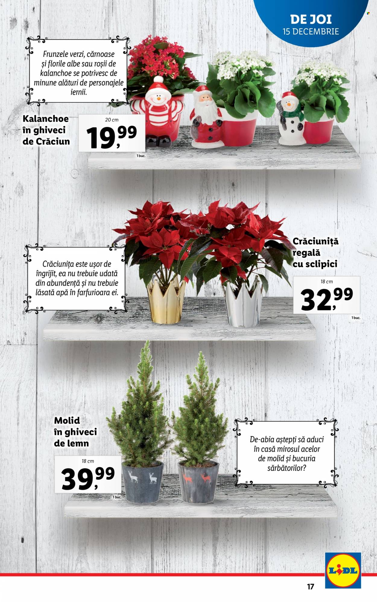 Catalog Lidl - 12.12.2022 - 18.12.2022. Pagina 17