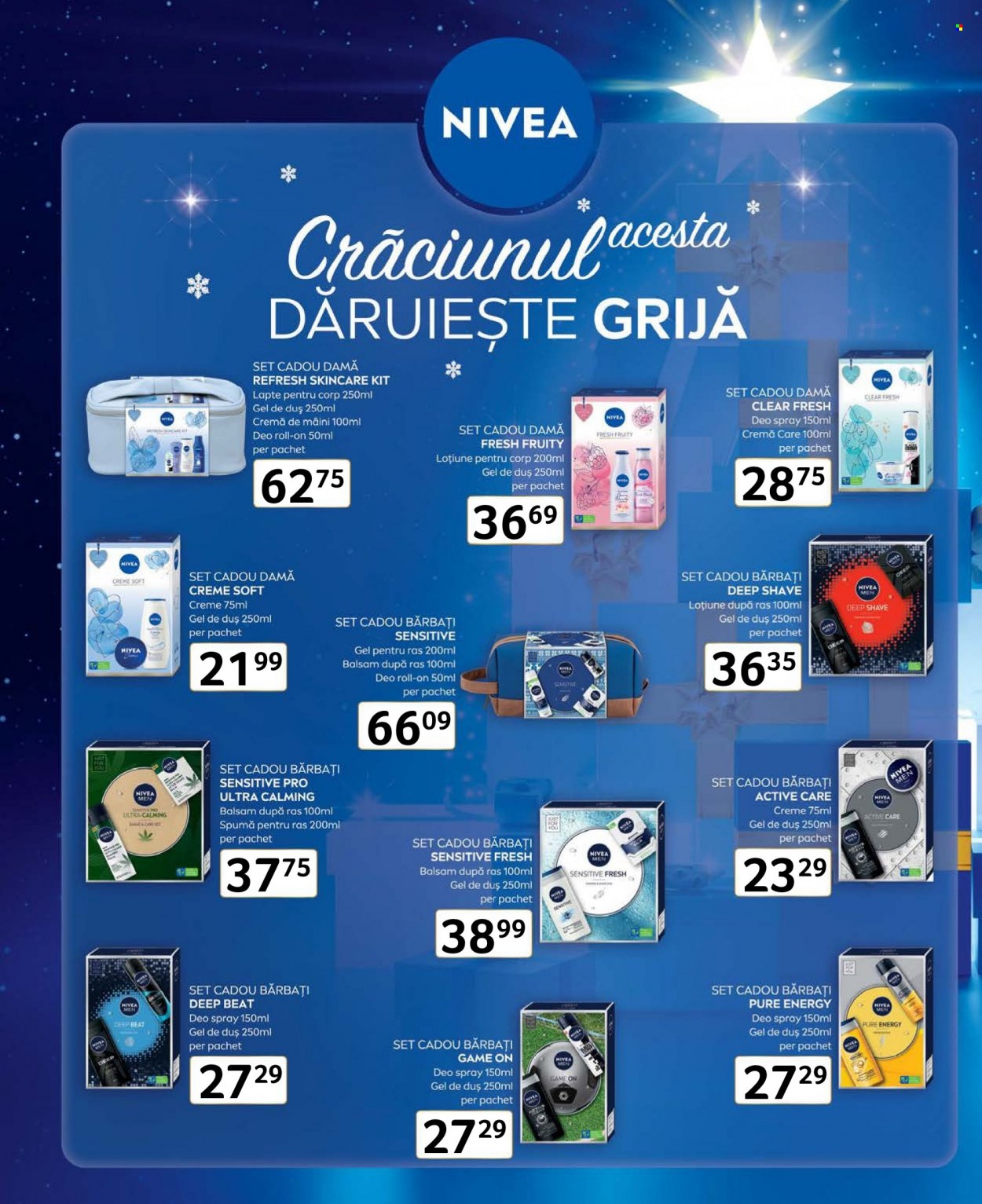 Catalog Selgros - 09.12.2022 - 31.12.2022. Pagina 41
