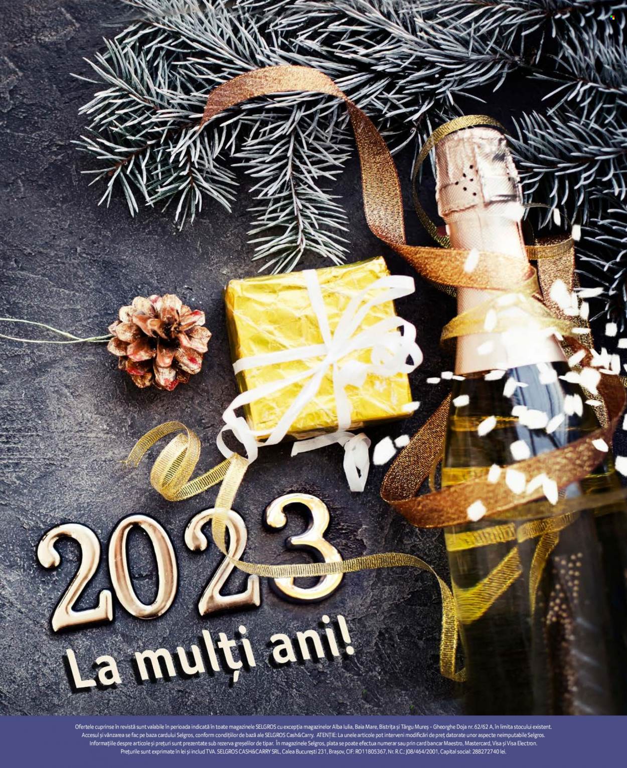 Catalog Selgros - 09.12.2022 - 31.12.2022. Pagina 10