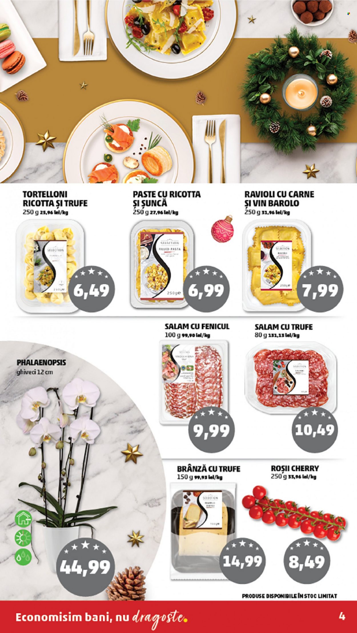 Catalog PENNY - 14.12.2022 - 20.12.2022. Pagina 4