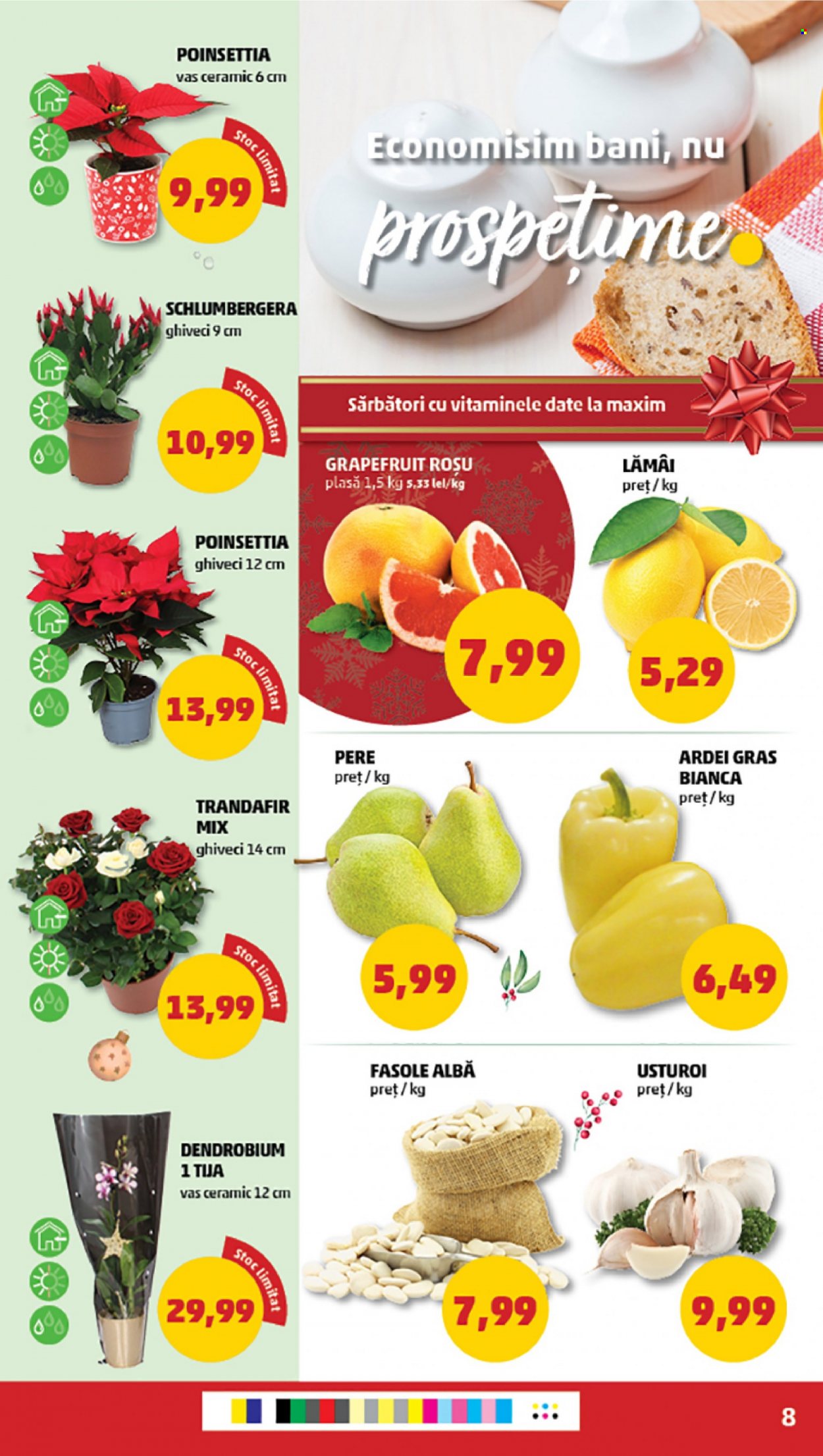 Catalog PENNY - 14.12.2022 - 20.12.2022. Pagina 8