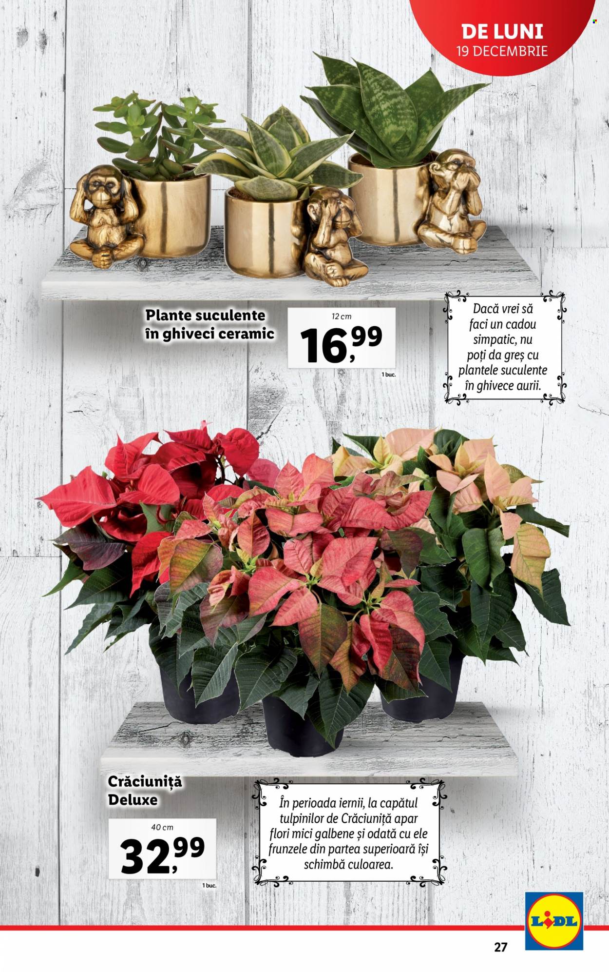 Catalog Lidl - 19.12.2022 - 24.12.2022. Pagina 27