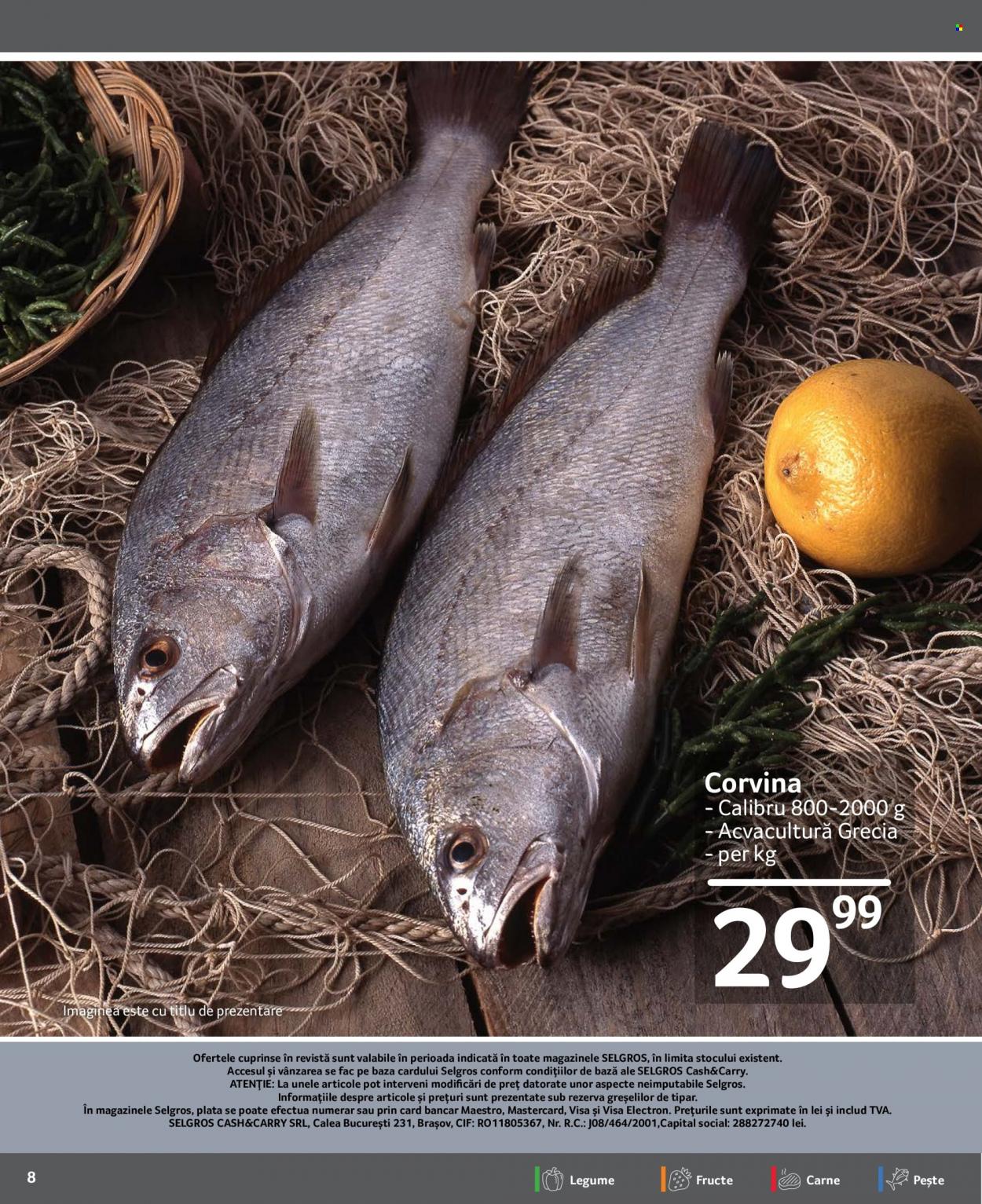 Catalog Selgros - 16.12.2022 - 22.12.2022. Pagina 8