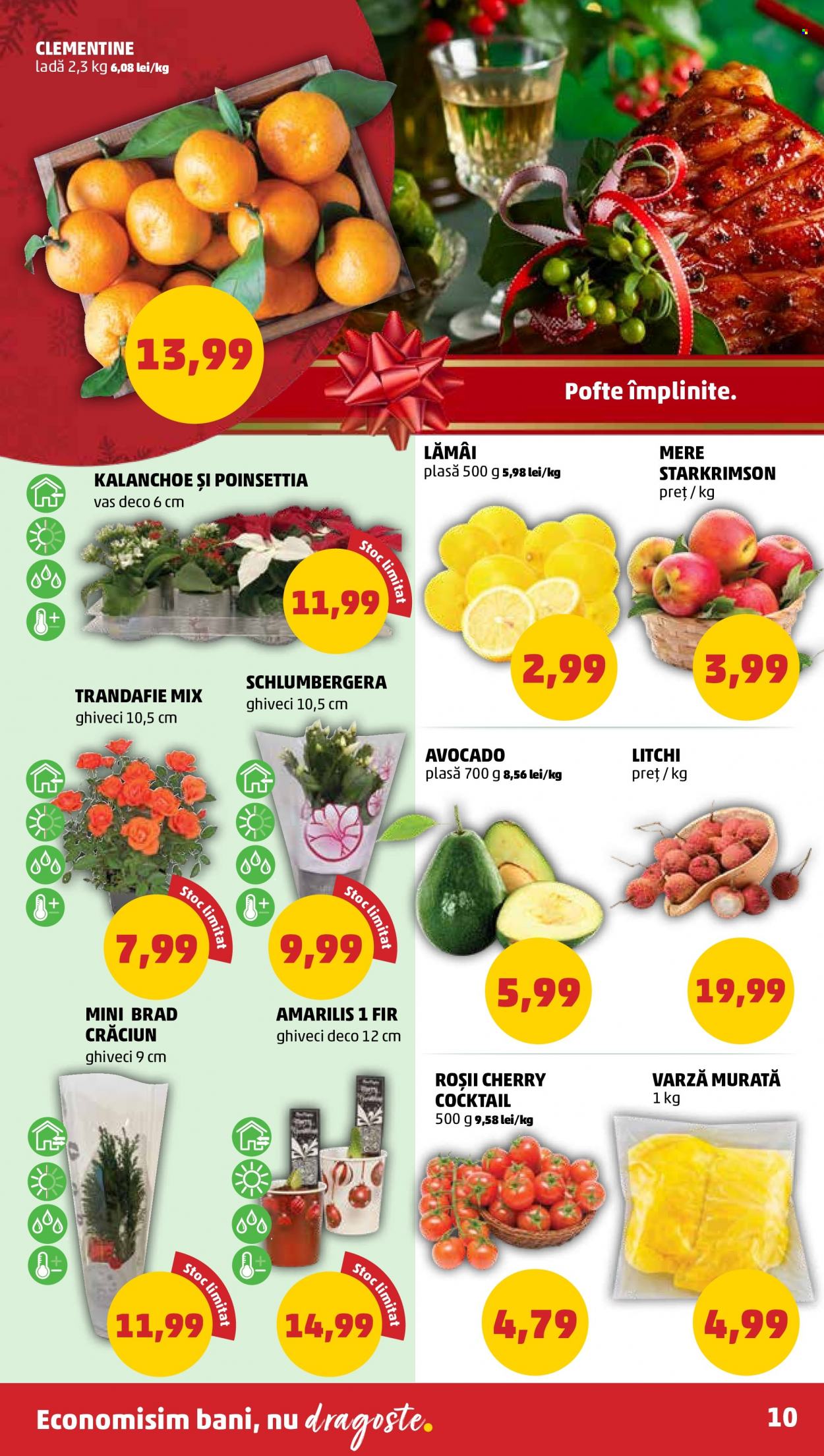Catalog PENNY - 21.12.2022 - 27.12.2022. Pagina 10
