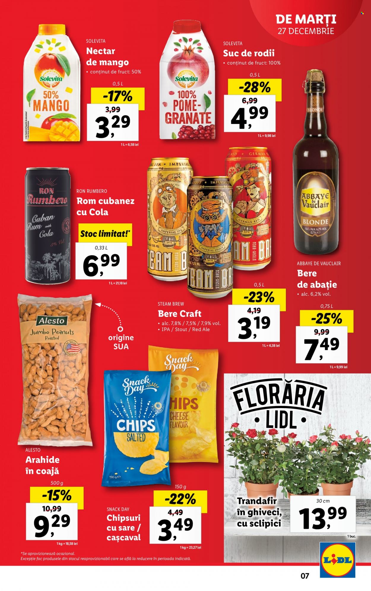 Catalog Lidl - 27.12.2022 - 31.12.2022. Pagina 7
