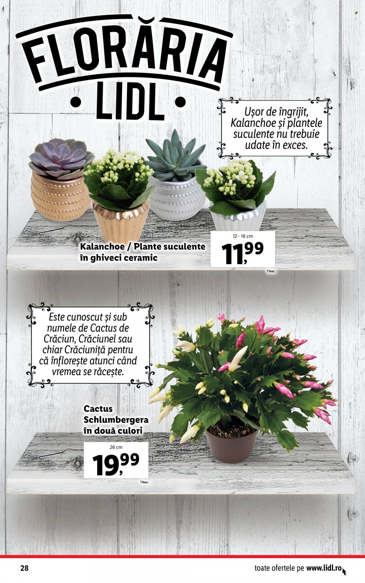Catalog Lidl - 27.12.2022 - 31.12.2022. Pagina 28