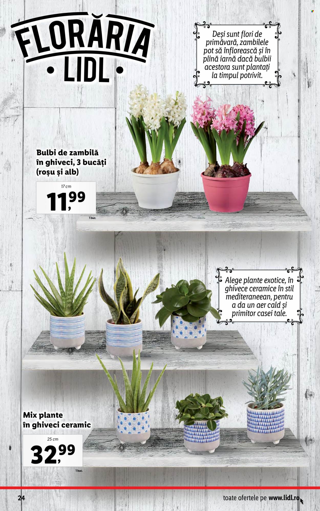 Catalog Lidl - 02.01.2023 - 08.01.2023. Pagina 24