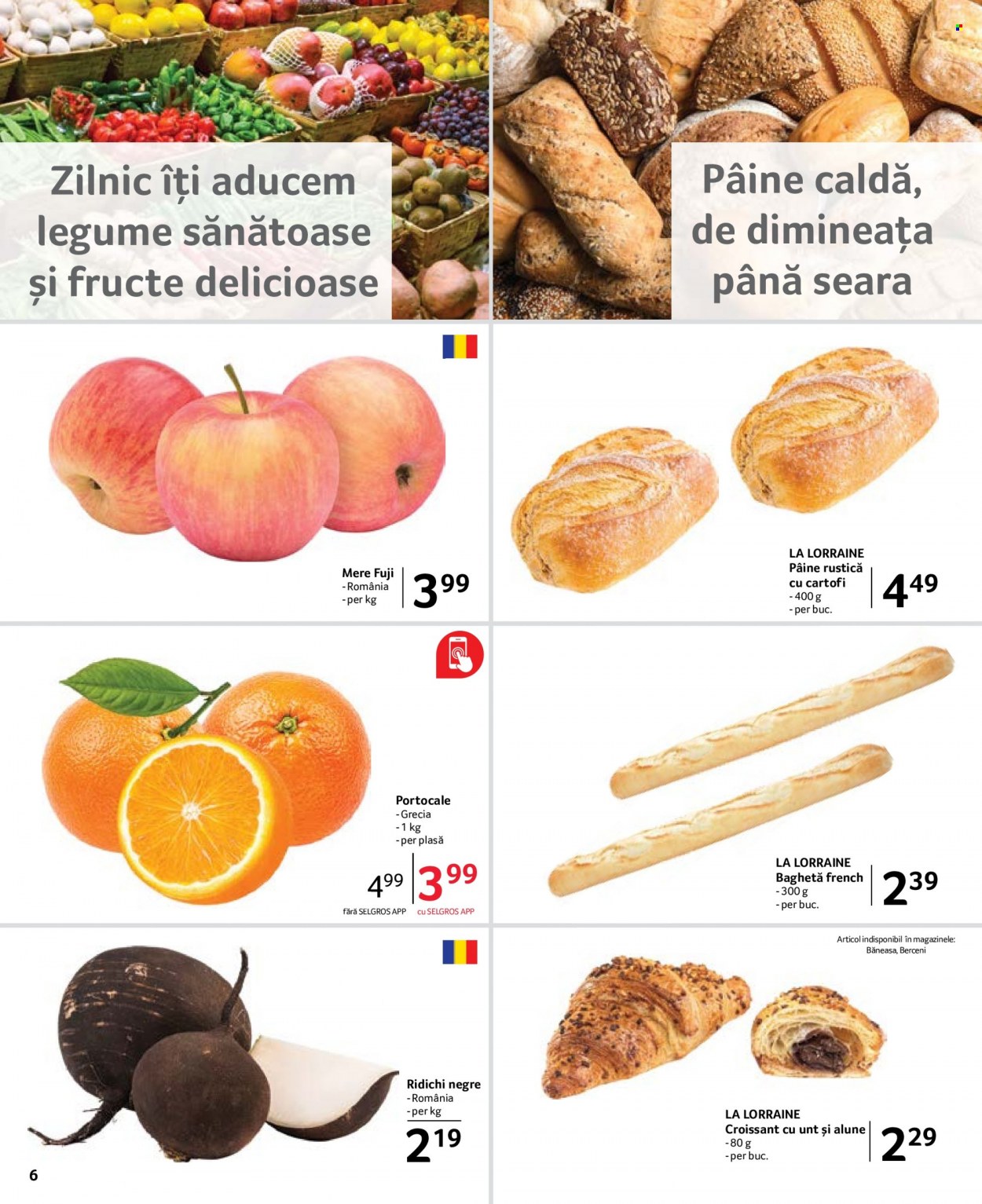 Catalog Selgros - 02.01.2023 - 19.01.2023. Pagina 6