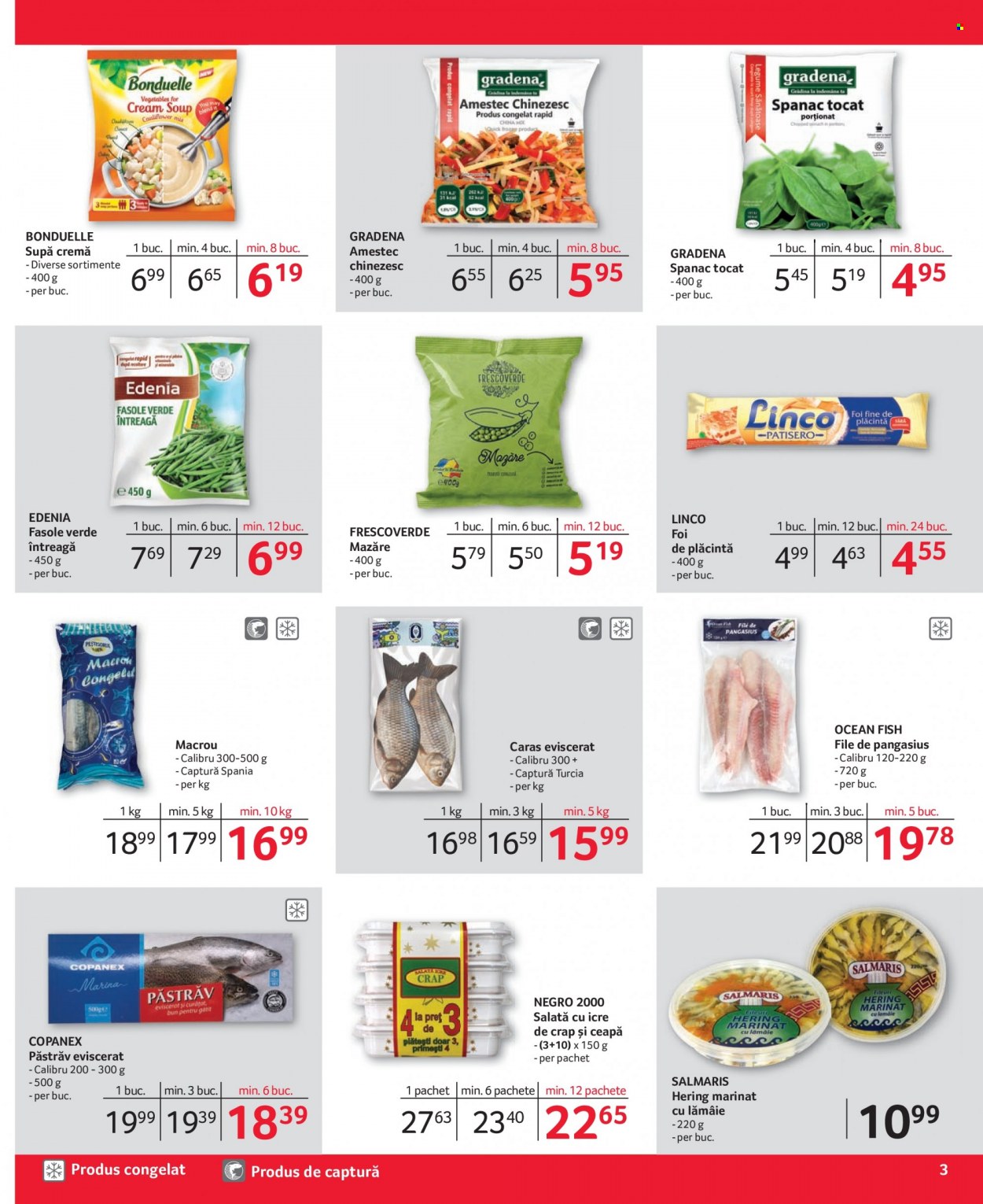 Catalog Selgros - 02.01.2023 - 31.01.2023. Pagina 3