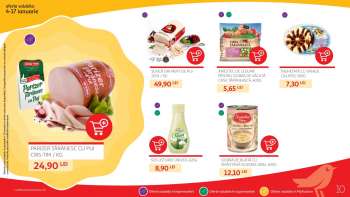 Catalog Auchan