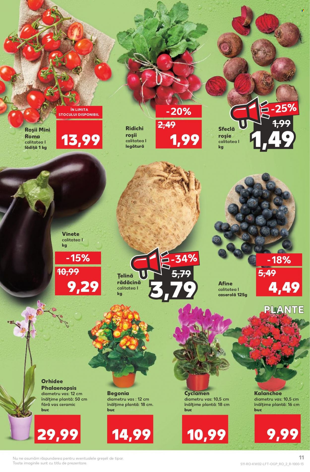 Catalog Kaufland - 11.01.2023 - 17.01.2023. Pagina 11