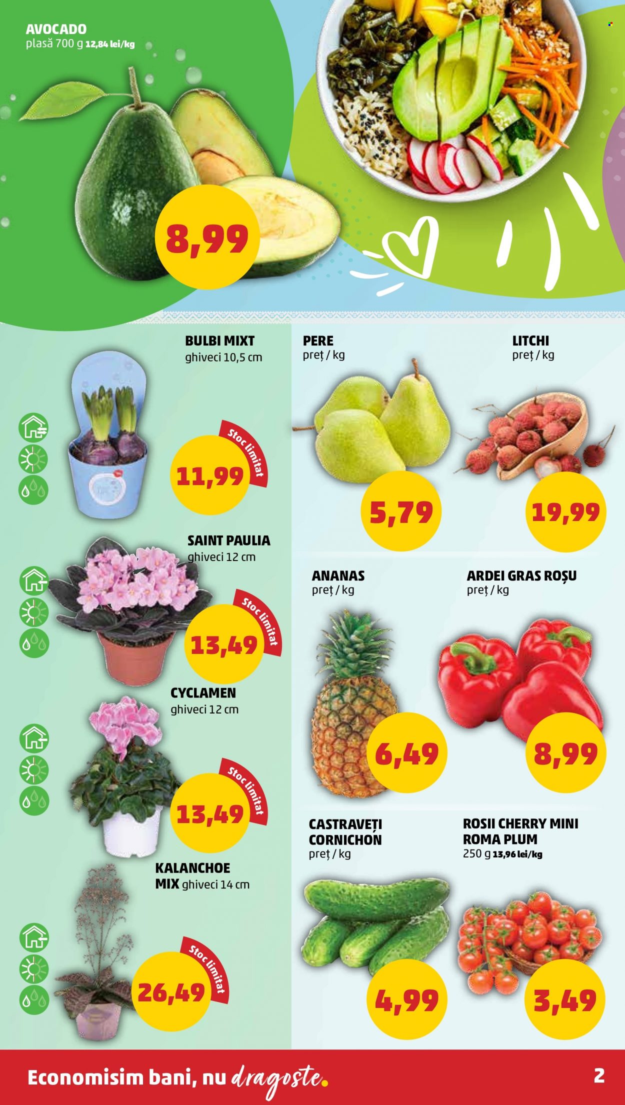 Catalog PENNY - 11.01.2023 - 17.01.2023. Pagina 2