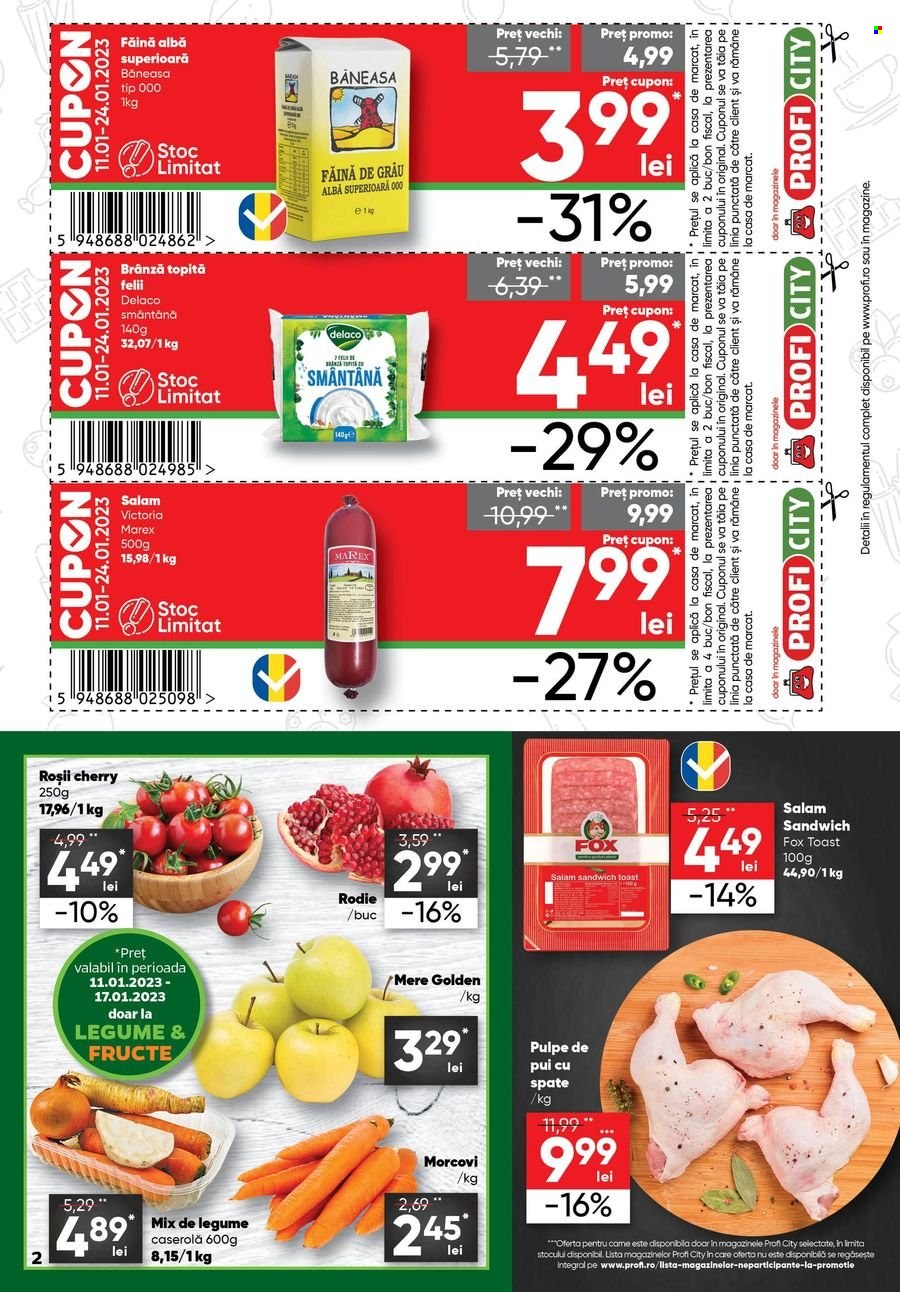 Catalog Profi City - 11.01.2023 - 24.01.2023. Pagina 2