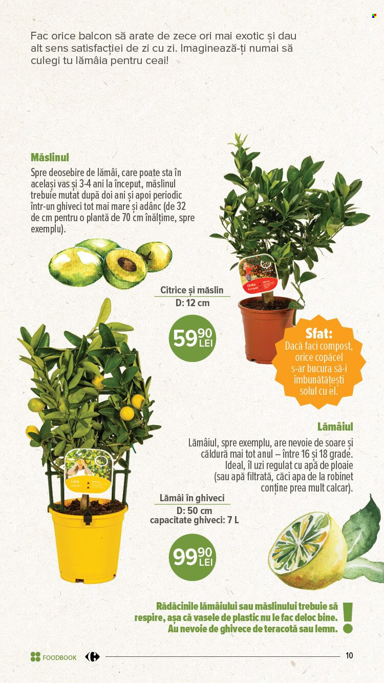 Catalog Carrefour - 19.01.2023 - 25.01.2023. Pagina 9