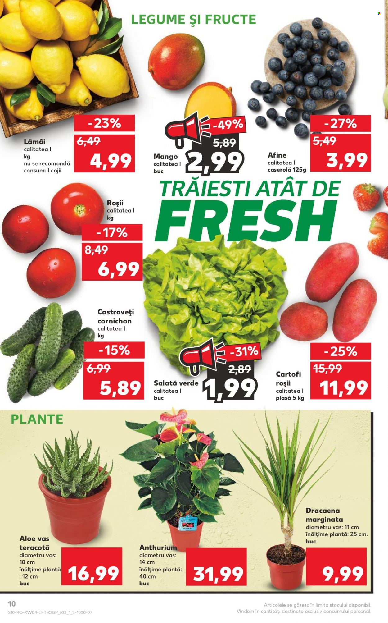 Catalog Kaufland - 25.01.2023 - 31.01.2023. Pagina 10