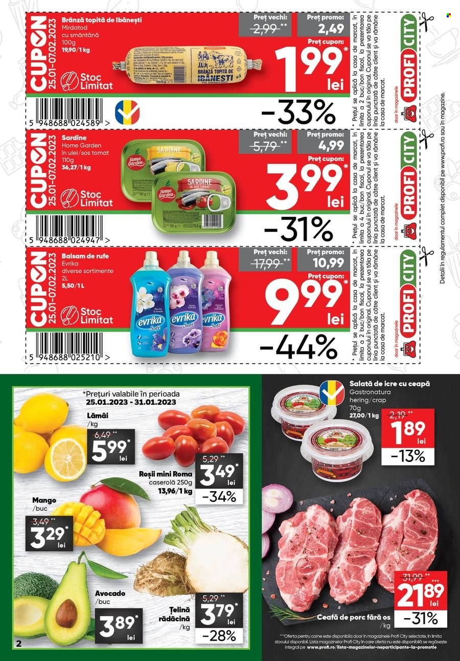Catalog Profi City - 25.01.2023 - 07.02.2023. Pagina 2