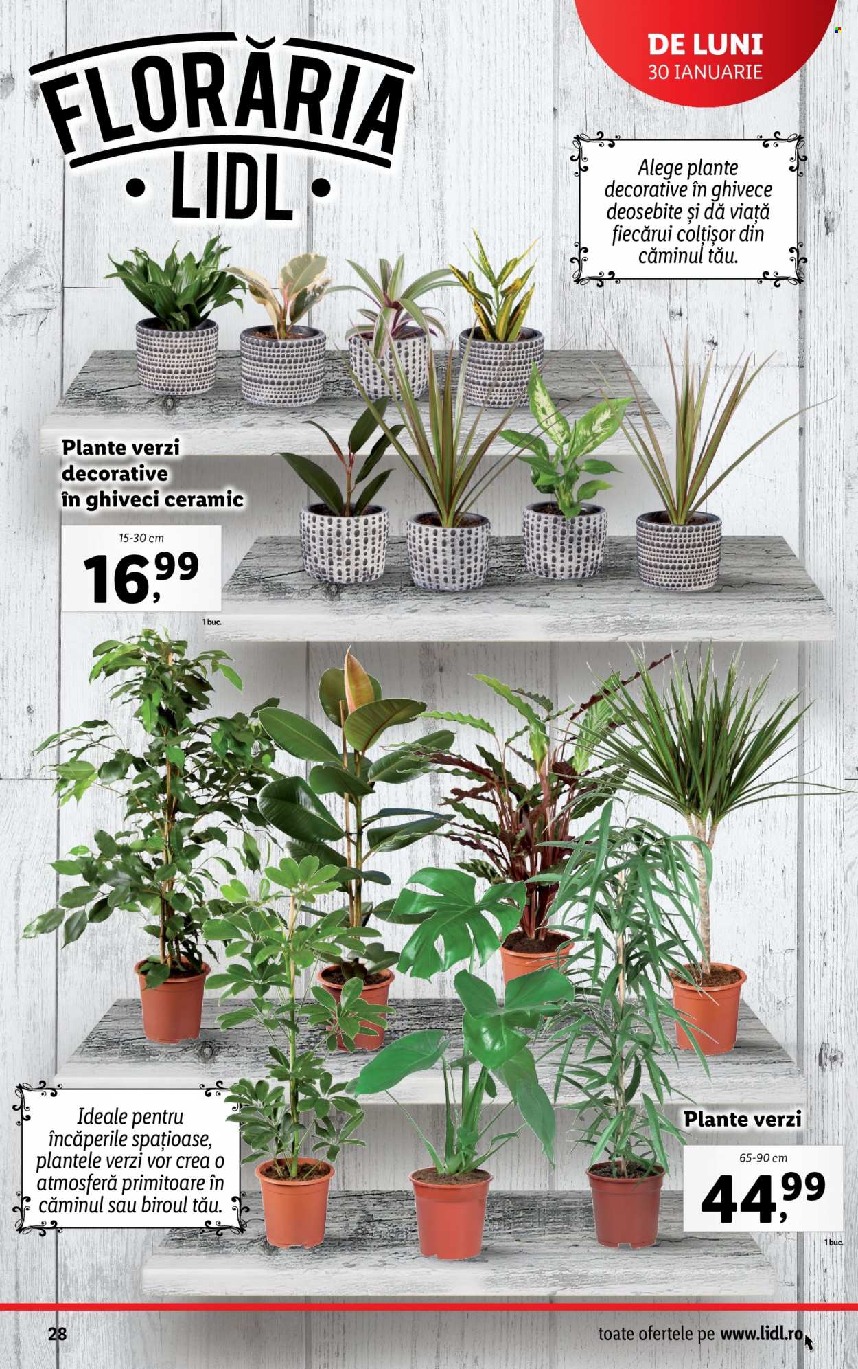 Catalog Lidl - 30.01.2023 - 05.02.2023. Pagina 28