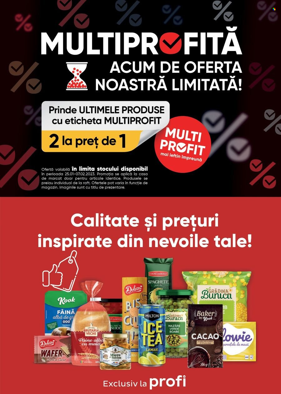 Catalog Profi - 25.01.2023 - 07.02.2023. Pagina 13