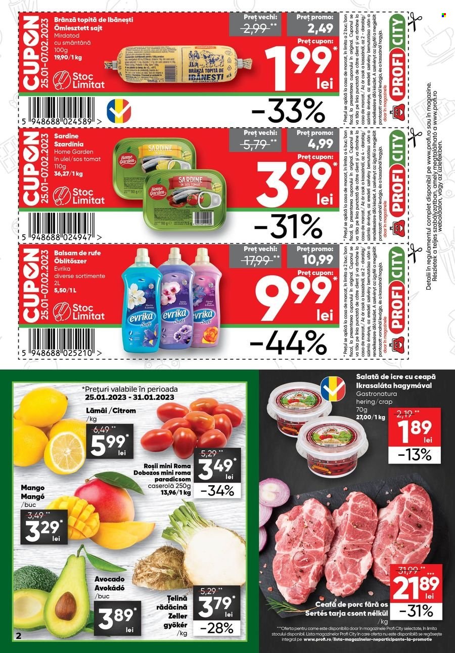 Catalog Profi City - 25.01.2023 - 07.02.2023. Pagina 2