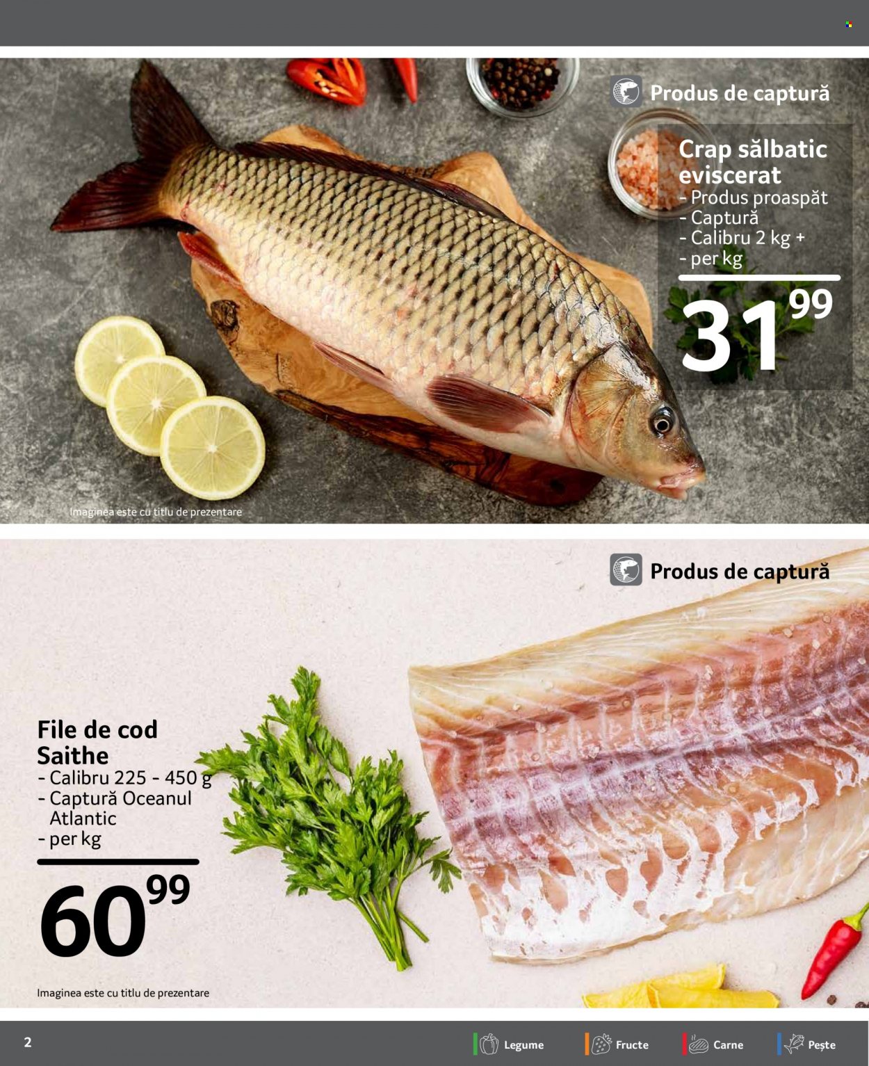 Catalog Selgros - 27.01.2023 - 02.02.2023. Pagina 2