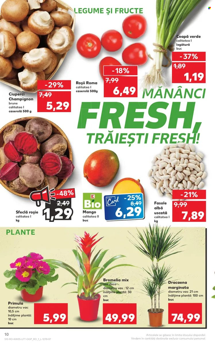 thumbnail - Cataloage Kaufland - 01.02.2023 - 01.02.2023 - Produse în vânzare - ciuperca, champignon, sfeclă, rosii cherry, ceapă verde, mango, fasole, plante. Pagina 10.