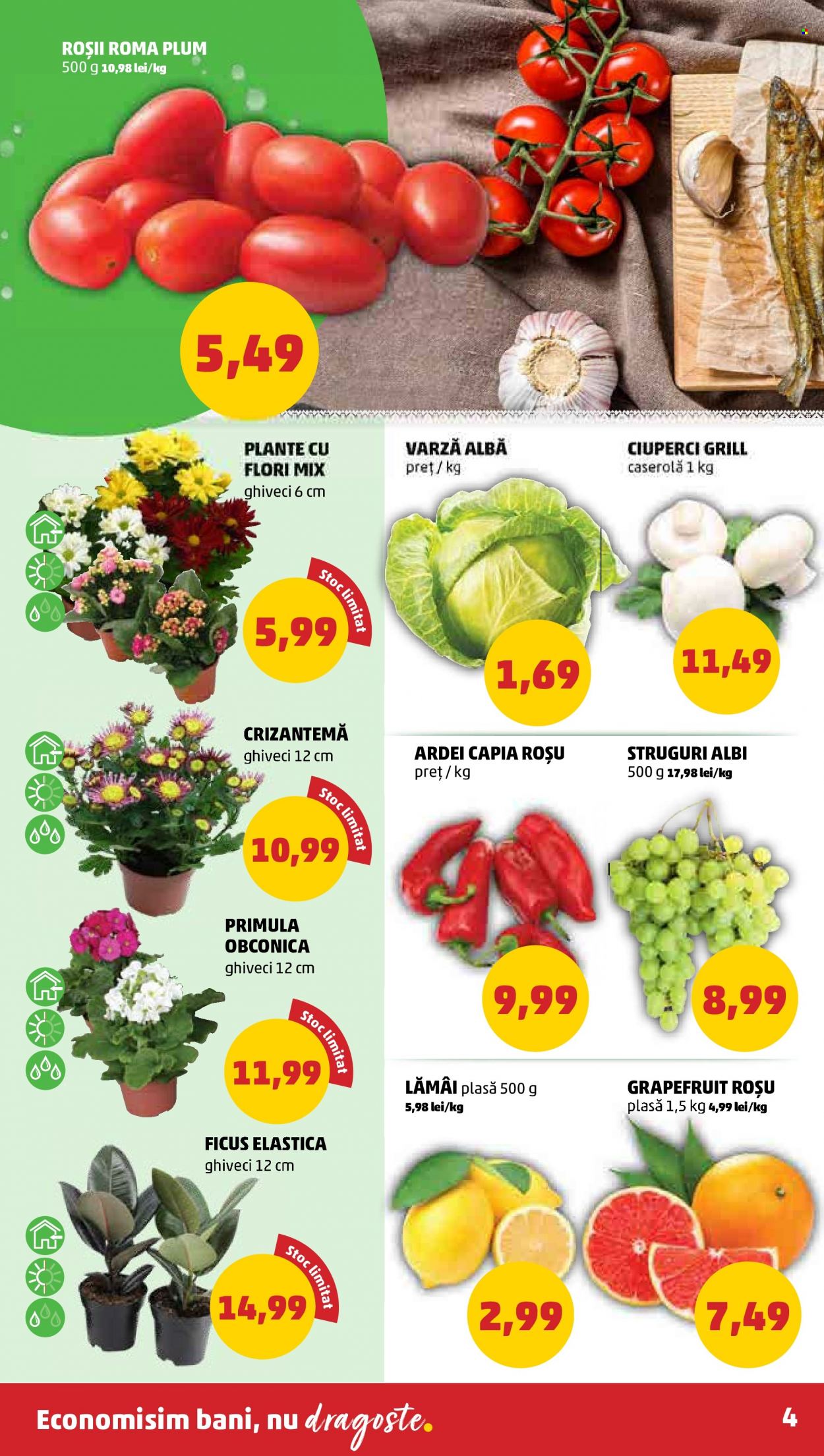 Catalog PENNY - 01.02.2023 - 07.02.2023. Pagina 4