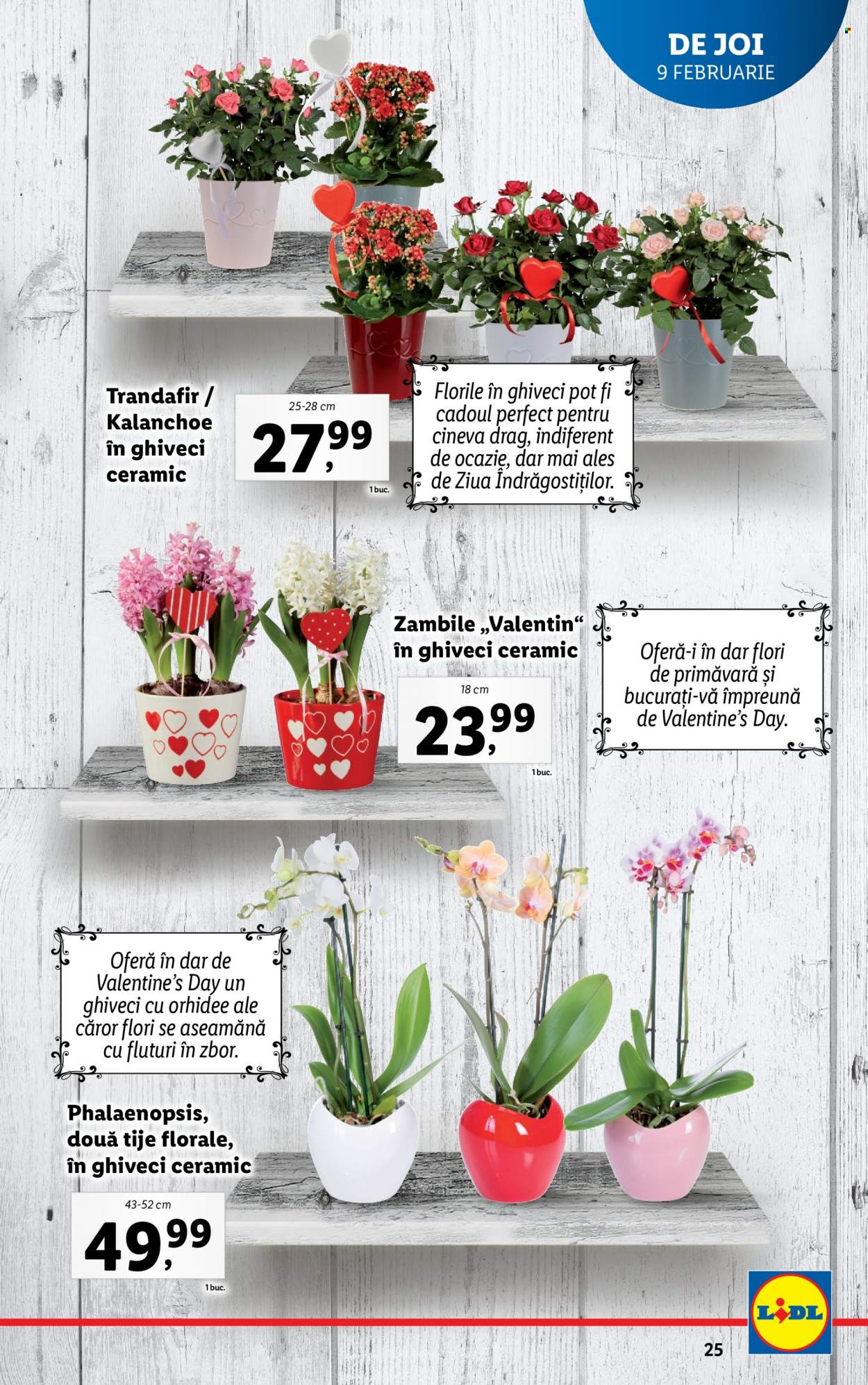 Catalog Lidl - 06.02.2023 - 12.02.2023. Pagina 25