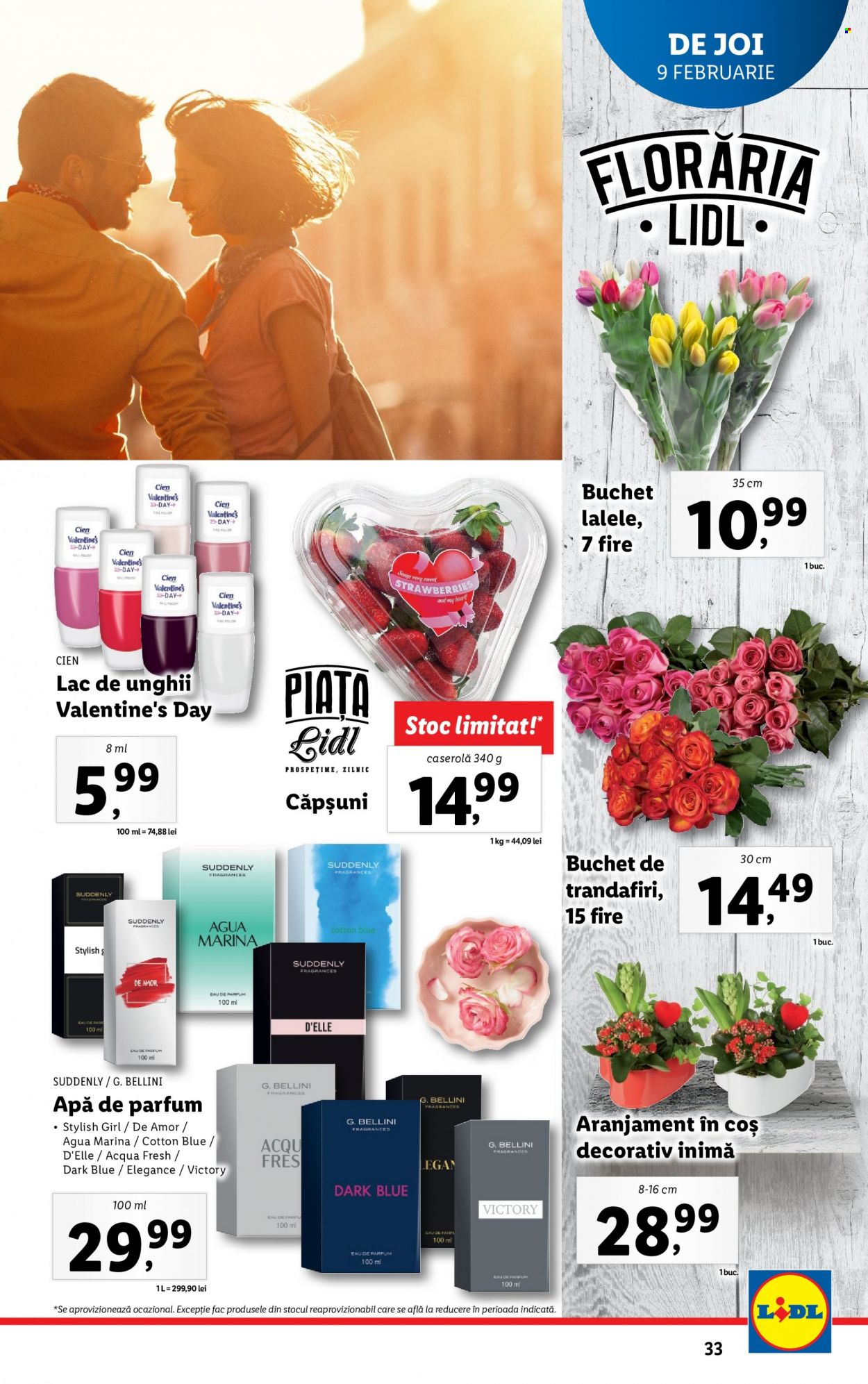 Catalog Lidl - 06.02.2023 - 12.02.2023. Pagina 33