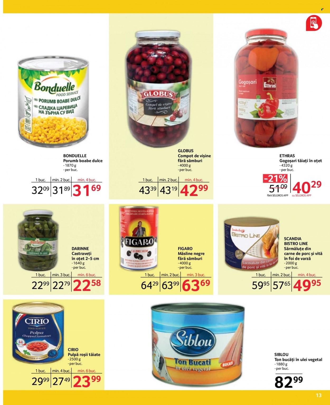 Catalog Selgros - 01.02.2023 - 28.02.2023. Pagina 13