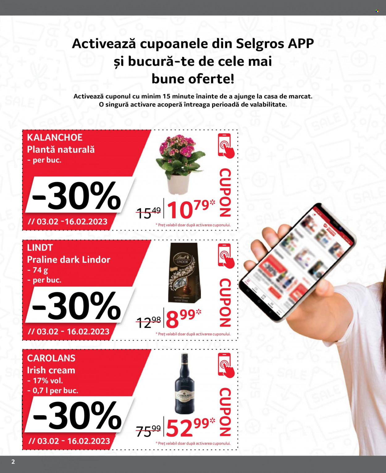 Catalog Selgros - 03.02.2023 - 16.02.2023. Pagina 2