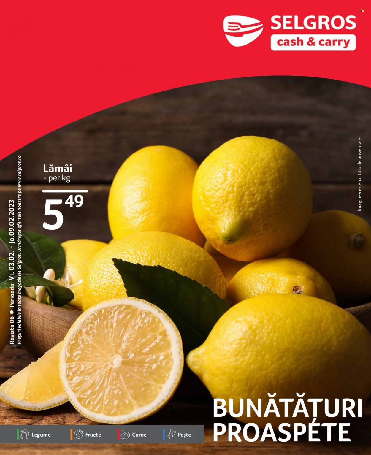 Catalog Selgros - 03.02.2023 - 09.02.2023. Pagina 1