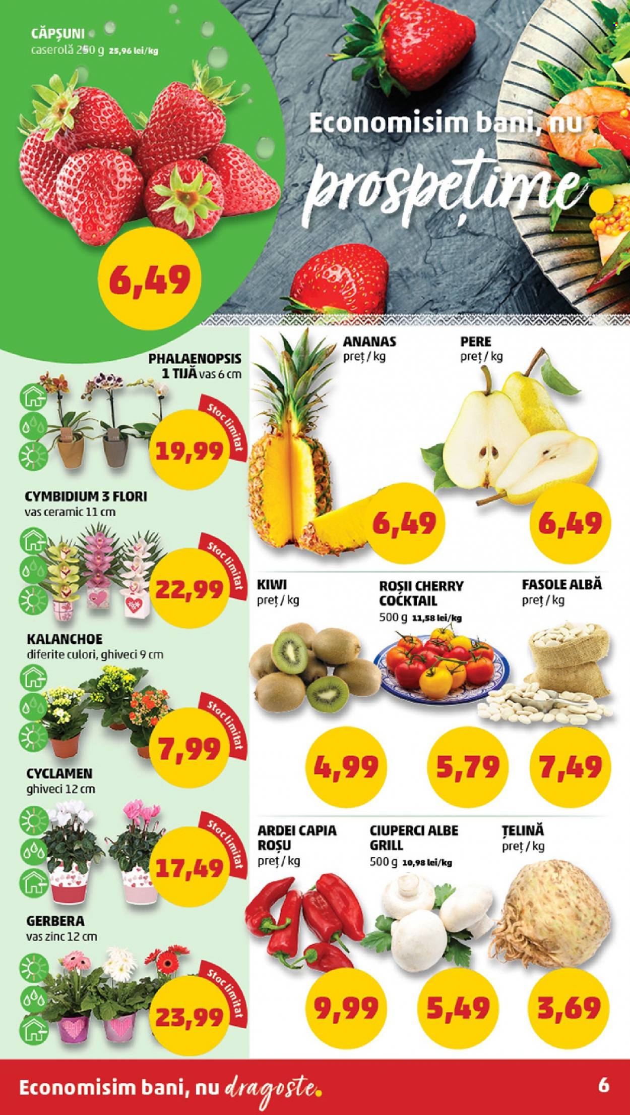 Catalog PENNY - 08.02.2023 - 14.02.2023. Pagina 6