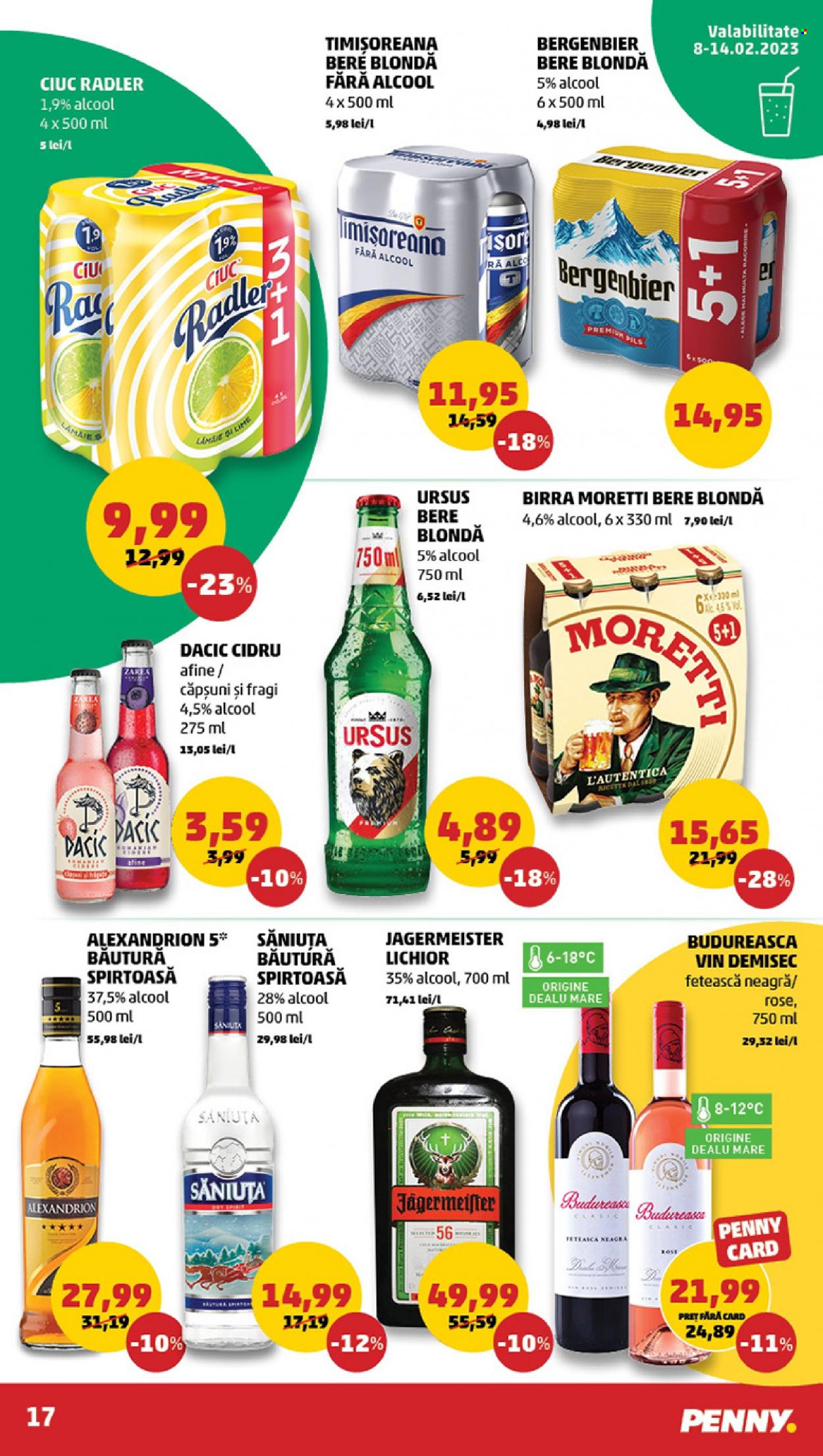 Catalog PENNY - 08.02.2023 - 14.02.2023. Pagina 17