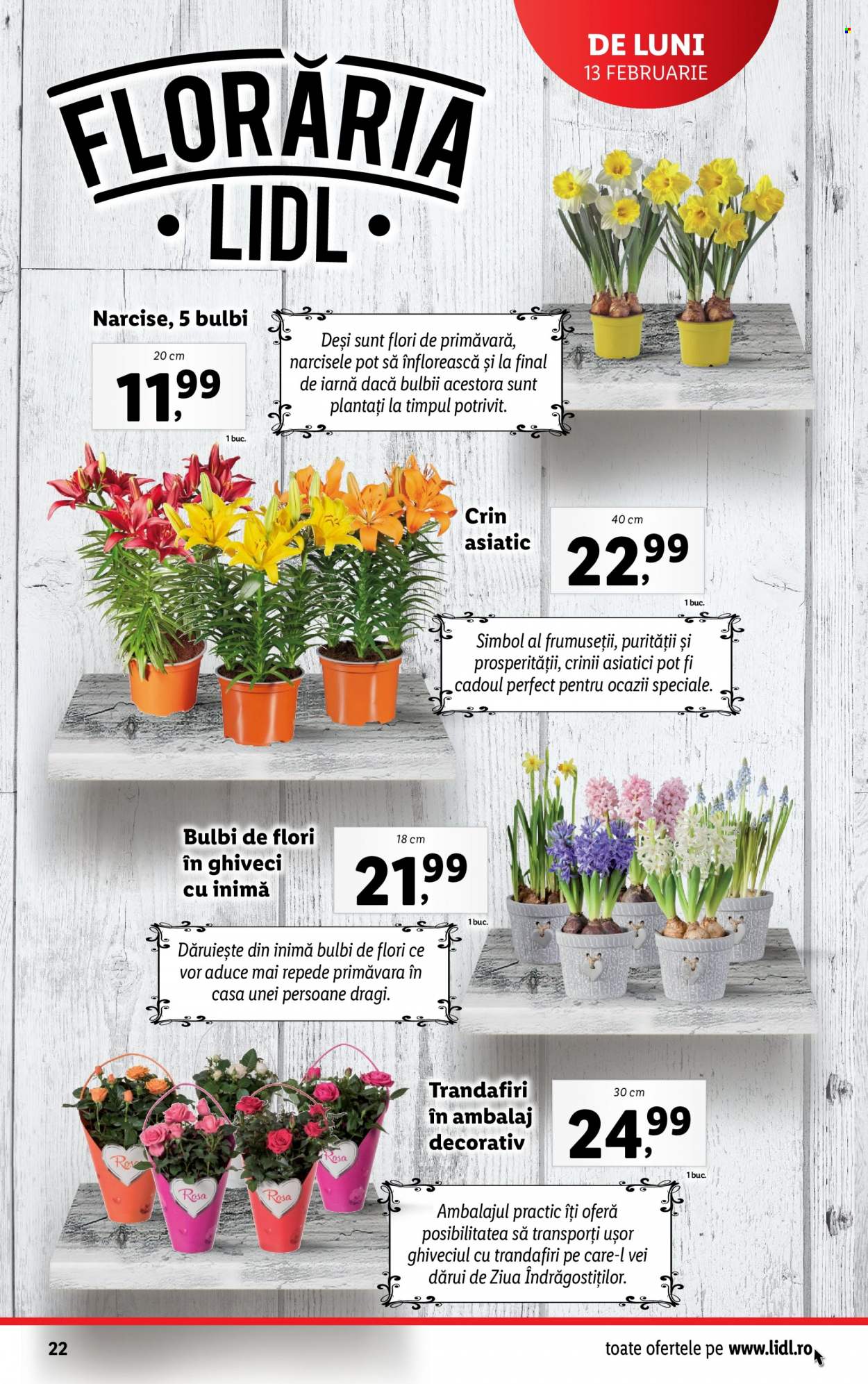 Catalog Lidl - 13.02.2023 - 19.02.2023. Pagina 22