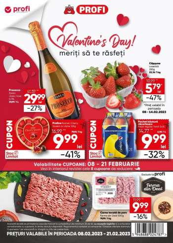 Cataloage Profi - 08.02.2023 - 21.02.2023.