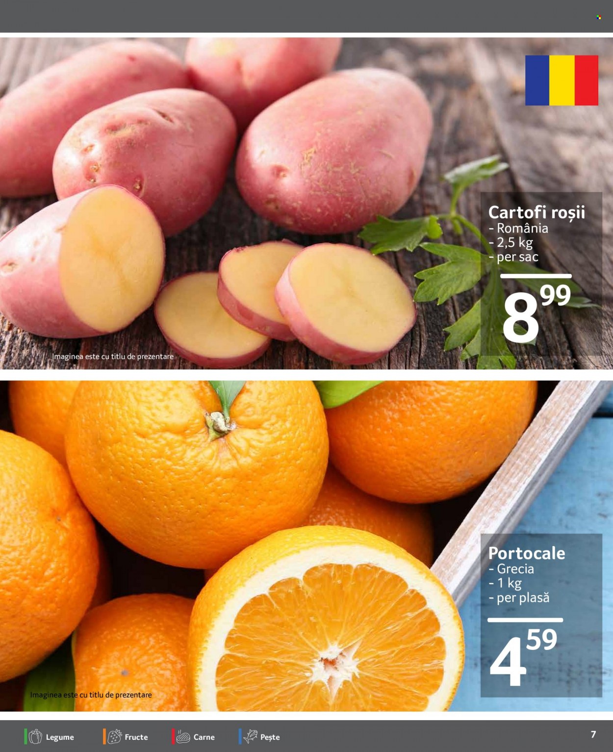 Catalog Selgros - 10.02.2023 - 16.02.2023. Pagina 7
