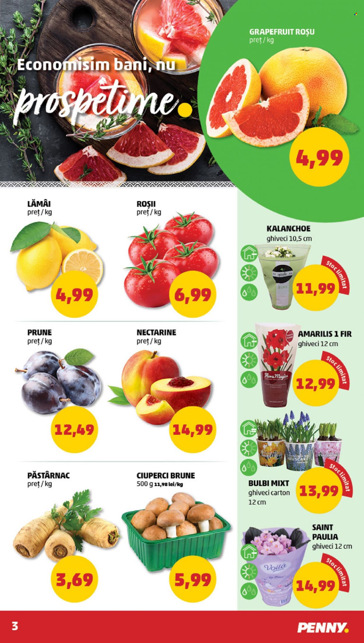 Catalog PENNY - 15.02.2023 - 21.02.2023. Pagina 3