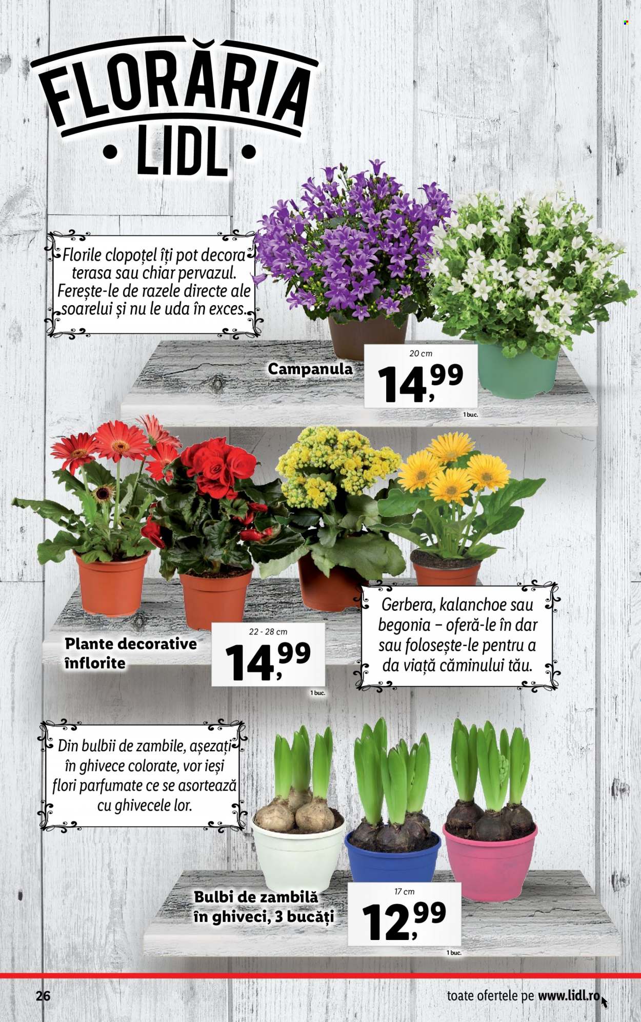 Catalog Lidl - 20.02.2023 - 26.02.2023. Pagina 26
