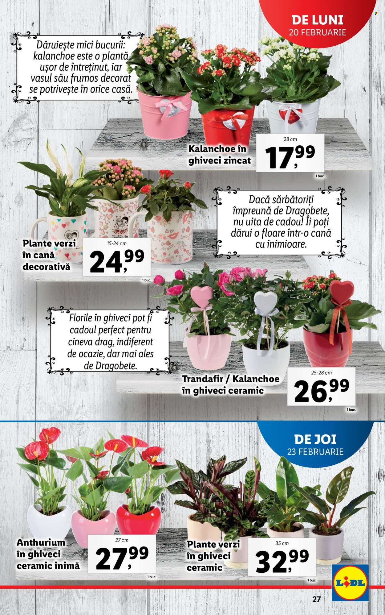 Catalog Lidl - 20.02.2023 - 26.02.2023. Pagina 27